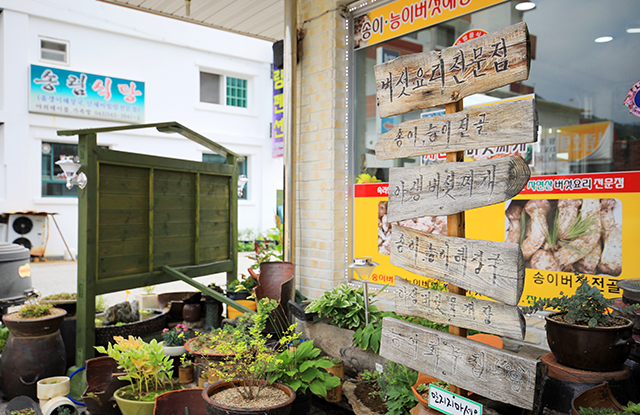 황가네자연산버섯요리전문점