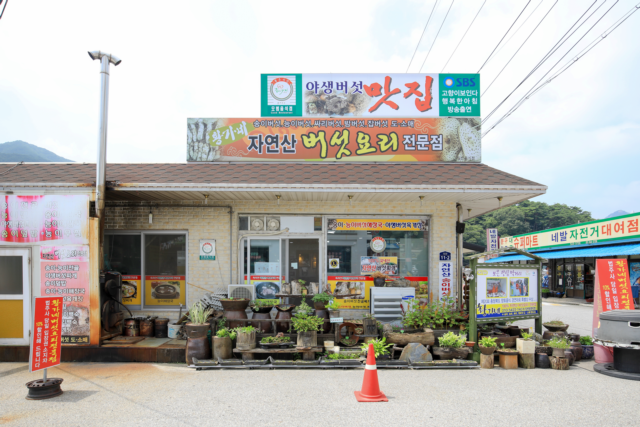 황가네자연산버섯요리전문점