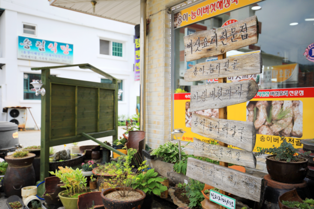 황가네자연산버섯요리전문점 